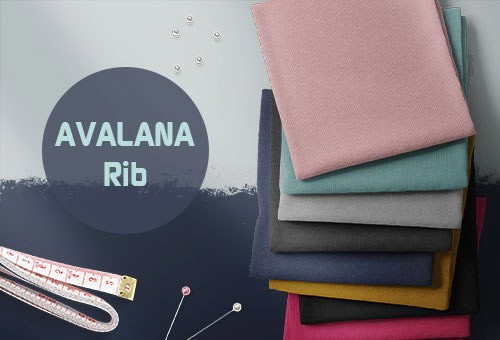 Rib - Costina