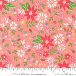 Strawberry Lemonade - 37670-12