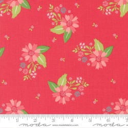 Strawberry Lemonade - 37671-14