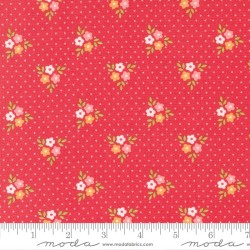 Strawberry Lemonade - 37672-14