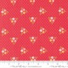 Strawberry Lemonade - 37672-14