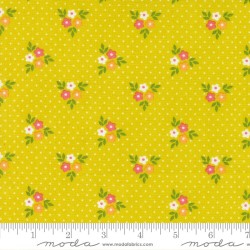 Strawberry Lemonade - 37672-18