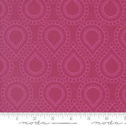 Rainbow Spice - 45046-14 Aster