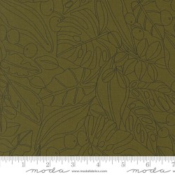 Botany - 11551-11