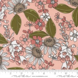 Botany - 11552-16