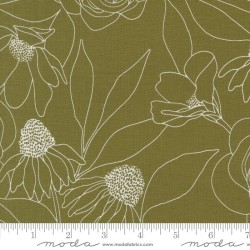 Botany - 11557-18