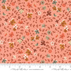 Acorn Hollow - 30761-15