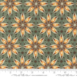Acorn Hollow - 30762-19