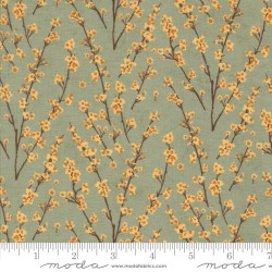 Acorn Hollow - 30765-18