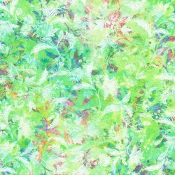 Retro - SRKDX-22125-375 SPROUT from Wide Collection