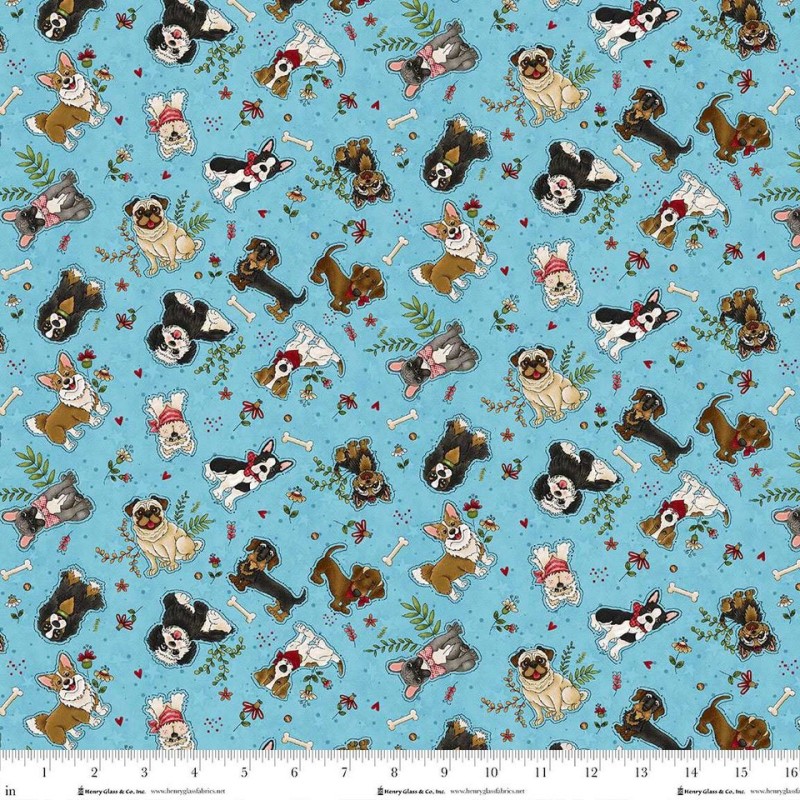 Home is where dog is - Cani su azzurro