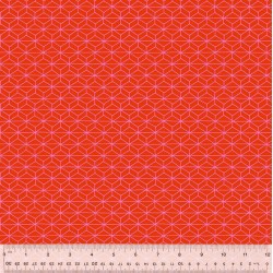 Foundation 2 - 2513-203