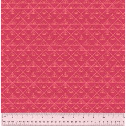 Foundation 2 - 2513-205