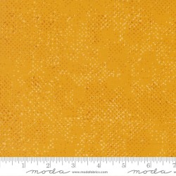 Spotted - 1660-254 - Zen Chic