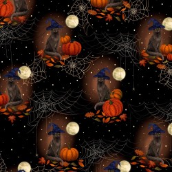 Harvest haunt - Gatti neri