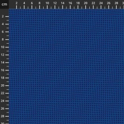 Dark Prism - 2556-034