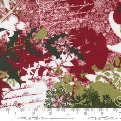 Peppermint Bark - 30690-12