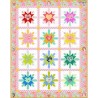 Heart Burst Quilt Kit by Tula Pink