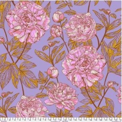 Retro - Anna Maria Horner - 7255-043